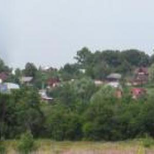 Панорама деревни Скирманово с юга, от подножия Агафидовского холма. 25.07.11.