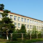 Дмитриевская средняя школа №8