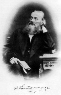 Николай Иванович Костомаров, фото 1870-х гг.