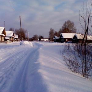 Деревня Русские Плоски зимой