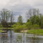 На реке Кава вблизи деревни. Май 2012 г. Фото: Анатолий Максимов.