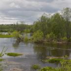 Река Кава. Май 2012 г. Фото: А. Максимов.
