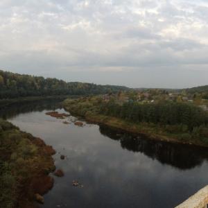 Мост через реку Мсту, вид на деревню Бор и окрестности.