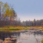 Река Логовежь, рядом с посёлком. Октябрь 2014 г. Фото: Анатолий Максимов.