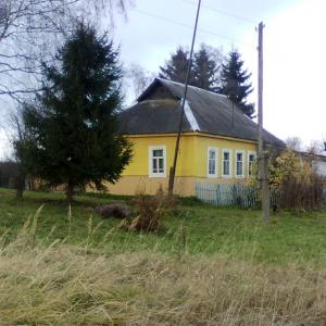 Дом в деревне Никольское