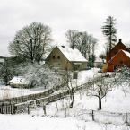 Поселок Краснолесье зимой