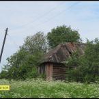 Заброшенный дом в деревне Тишино. Фото: Василий Пирогов.