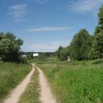 Деревня Грачёвка. По дороге к пруду. Июнь 2010 года