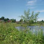Деревня Грачёвка. Вид на пруд. Июнь 2010 года