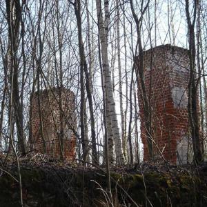 Фундамент и столбы, оставшиеся от Покровской церкви в деревне Васютино. Май 2009 года. Фото: М. Российский