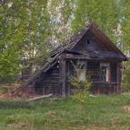 Деревня Пальцево, заброшенный дом. Май 2014 г. Фото: А. Максимов.